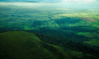 Grilagem na Amazônia: 93% das decisões judiciais não resultam em punição
