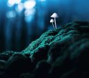 Como substâncias como ayahuasca e LSD podem tratar saúde mental? Entenda