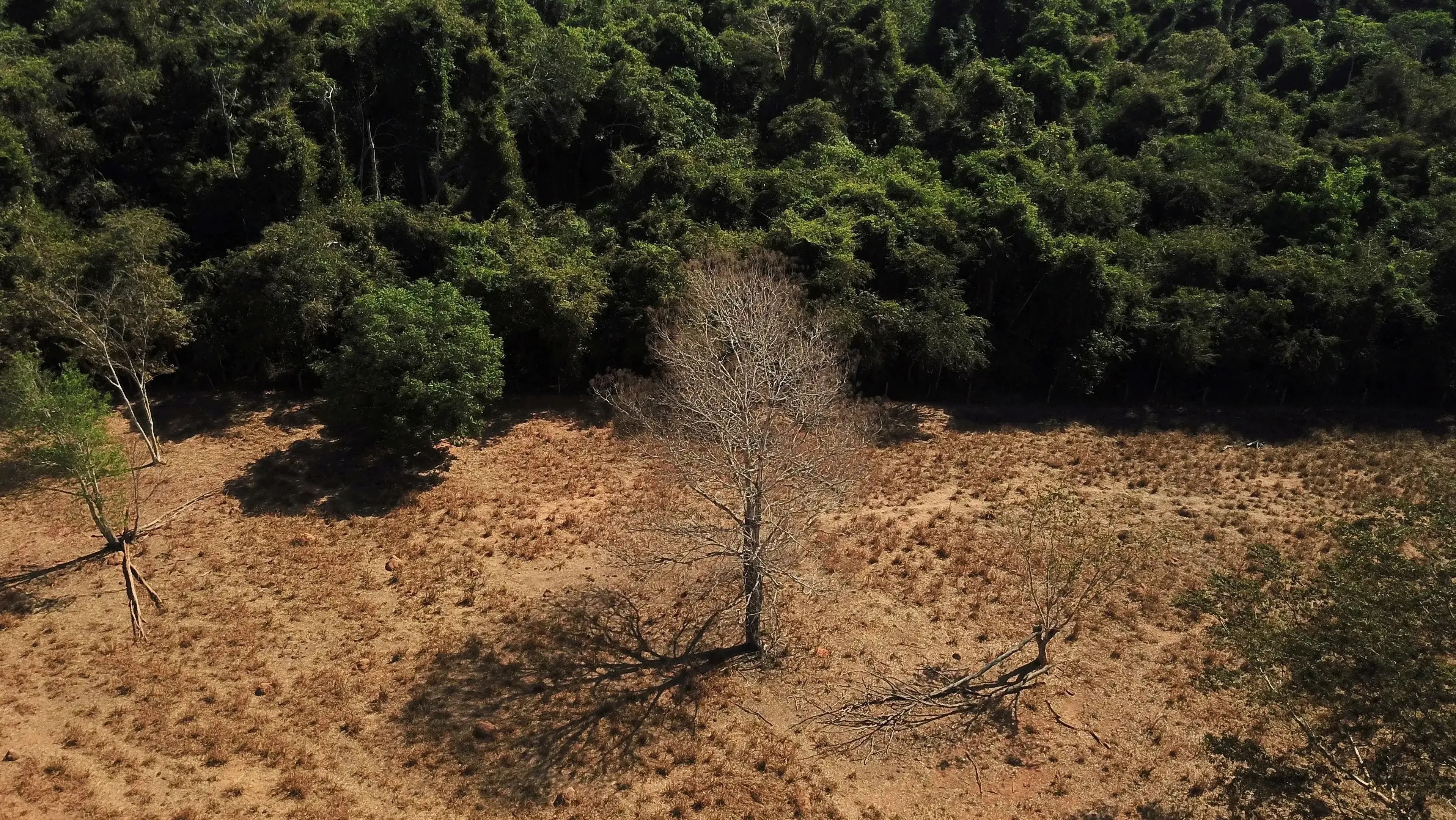 De acordo com o Instituto de Energia e Meio Ambiente (Iema), em 2024 o Brasil ocupou o sexto lugar em emissões totais de gases causadores das mudanças climáticas