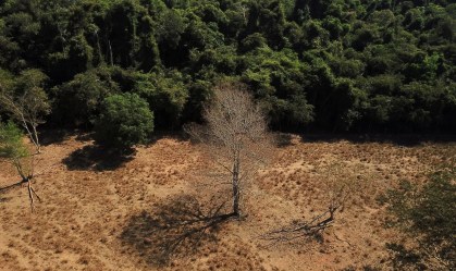Desmatamento da Amazônia influencia nas mudanças de temperatura? Entenda