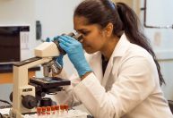 Prêmio Jovem Cientista recebe inscrições até dia 31 de julho