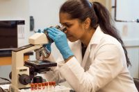Prêmio Jovem Cientista recebe inscrições até dia 31 de julho