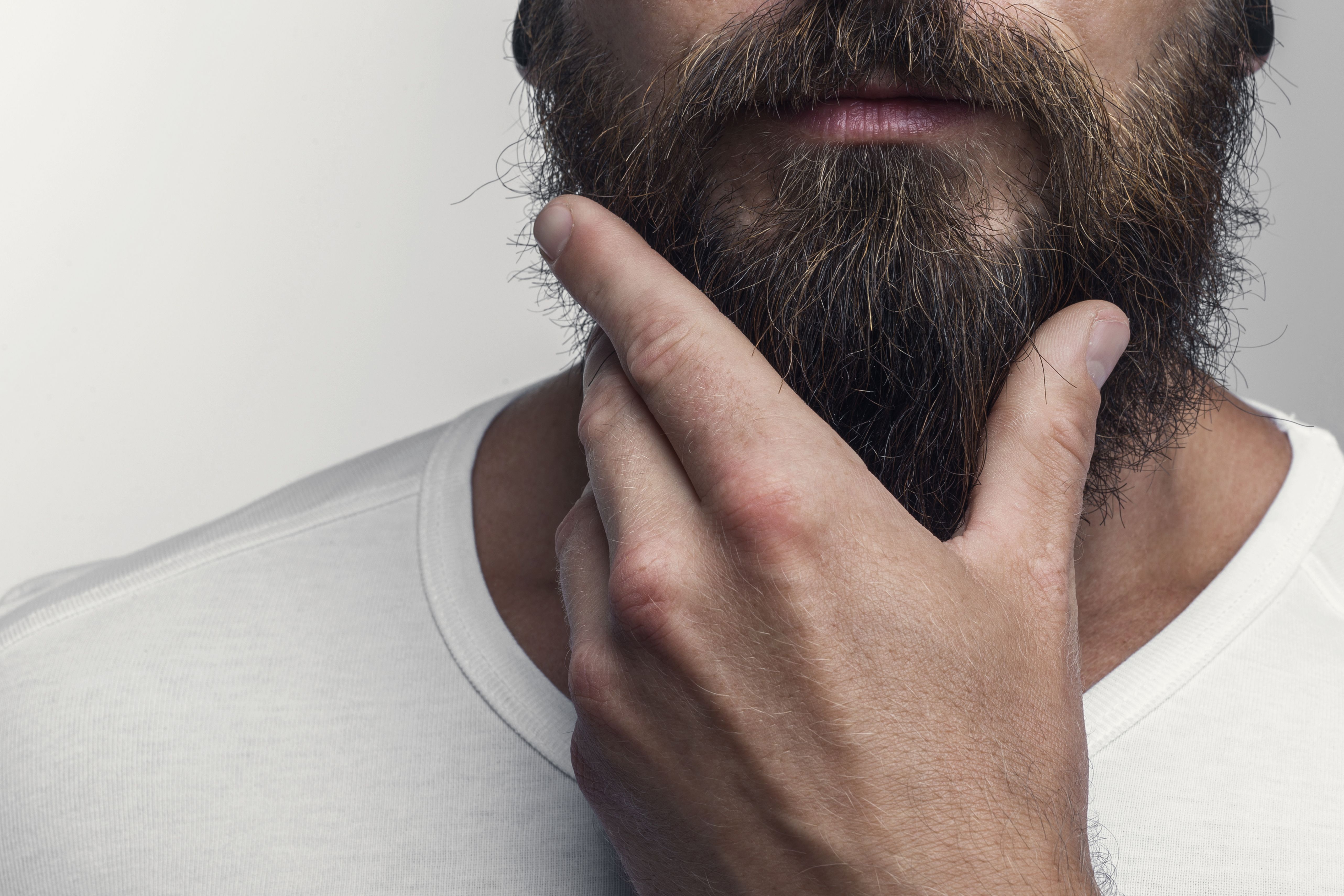 Barba