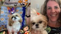 IML vai exumar cachorra cuidada por mulher acusada de envenenar nora