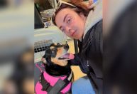 Cadela some em aeroporto de SP; tutora denuncia descaso e caixa quebrada