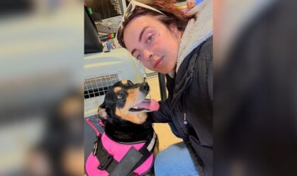 Cadela some em aeroporto de SP; tutora denuncia descaso e caixa quebrada