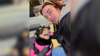 Cadela some em aeroporto de SP; tutora denuncia descaso e caixa quebrada