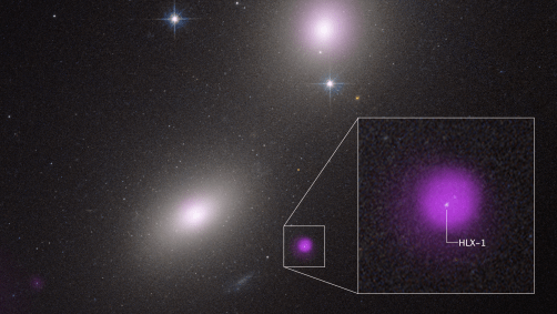 Mancha roxa representa a emissão de raios X de um aglomerado estelar compacto, produzidos por um buraco negro de massa intermediária destruindo uma estrela