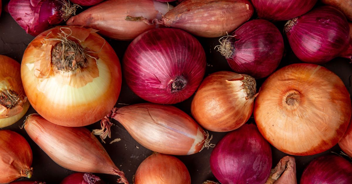 Chá da casca de cebola previne o envelhecimento e protege células do corpo humano; saiba como preparar