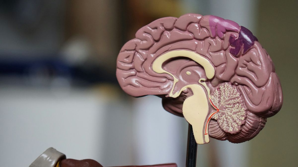 Problemas no sono aos 40 anos podem aumentar a chance de Alzheimer aos 80