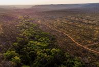 Brasil propõe mudar instituições, regras e setores pelo clima na COP30