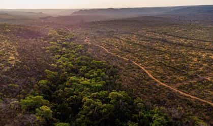 Crise hídrica no Cerrado afeta ecossistemas da Amazônia