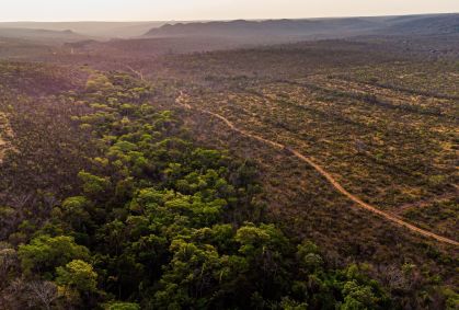 Crise hídrica no Cerrado afeta ecossistemas da Amazônia