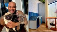 Ex-BBB Cézar Black mostra decoração de nova casa com quarto para cachorros