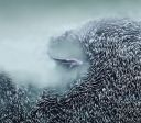 Veja fotos vencedoras do primeiro concurso Fotógrafo Aéreo do Ano