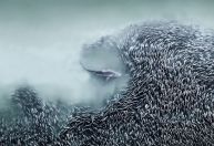 Veja fotos vencedoras do primeiro concurso Fotógrafo Aéreo do Ano