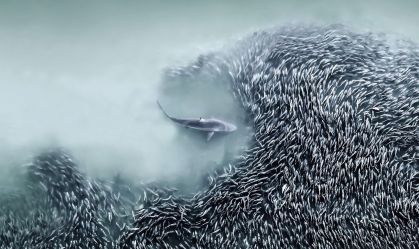 Veja fotos vencedoras do primeiro concurso Fotógrafo Aéreo do Ano
