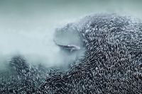 Veja fotos vencedoras do primeiro concurso Fotógrafo Aéreo do Ano