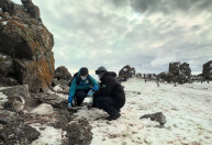 Cientistas brasileiros descobrem 4 novas espécies de fungo na Antártica