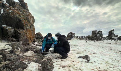 Cientistas brasileiros descobrem 4 novas espécies de fungo na Antártica