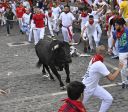 Homem é chifrado e outros sete ficam feridos em corrida de touros na Espanha; veja