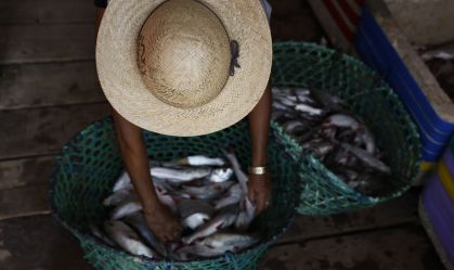 Pescadores pedem linha de crédito para resgatar setor do tarifaço de Trump