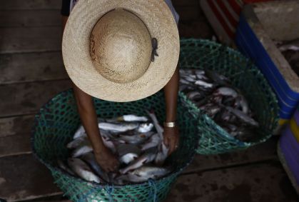 Pescadores pedem linha de crédito para resgatar setor do tarifaço de Trump