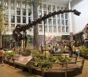 Estudo revela dieta de dinossauros gigantes há 150 milhões de anos