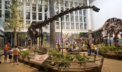 Estudo revela dieta de dinossauros gigantes há 150 milhões de anos