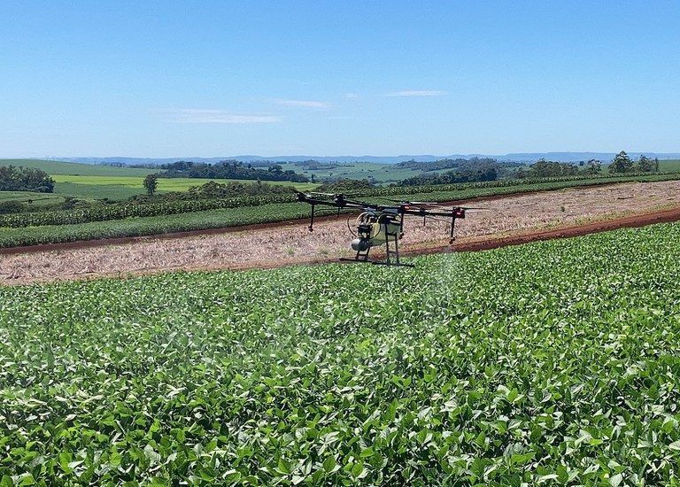Pesquisa: fidelização impulsiona alta das franquias de alimentação em 2024