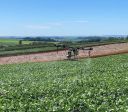 Secretária do USDA reforça ofensiva contra Brasil em investigação comercial