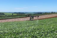 SLC Agrícola dobra Ebitda ajustado no 2º tri frente a um ano antes