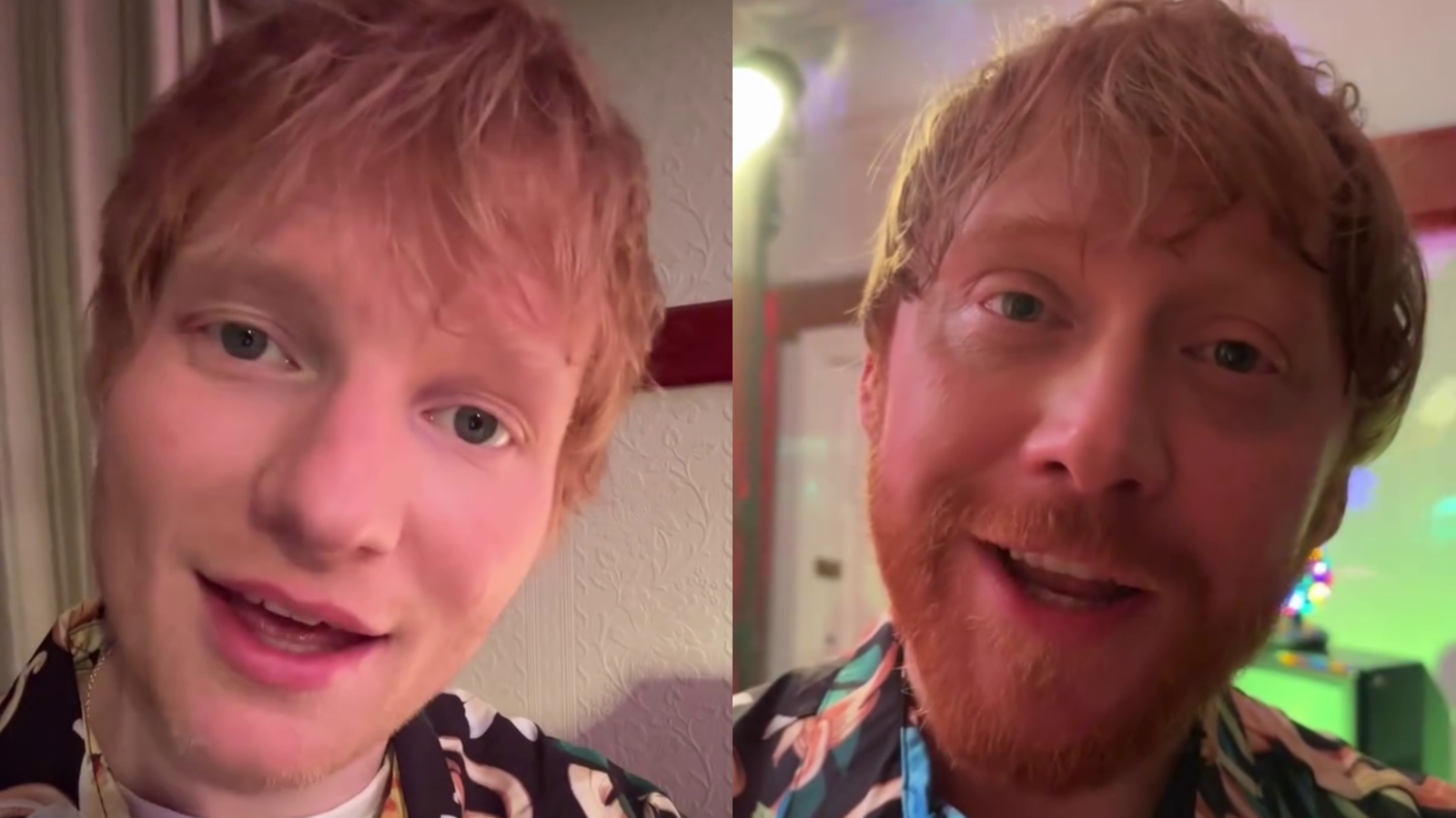 Ed Sheeran e Rupert Grint são comparados por terem uma aparência semelhante