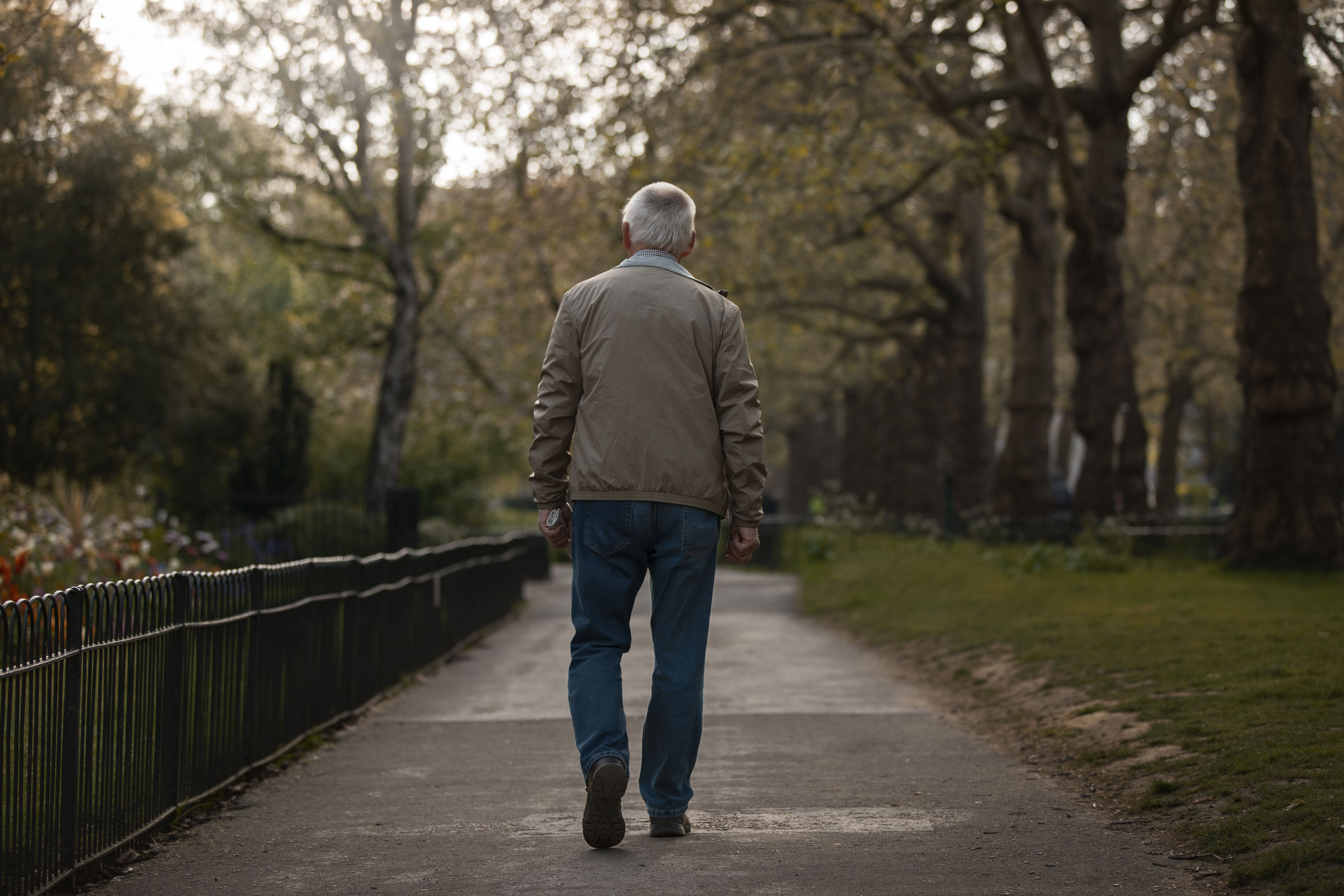 estudo-alzheimer