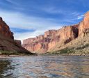 Fóssil de peixe-pênis com dentes peludos é encontrado no Grand Canyon; veja