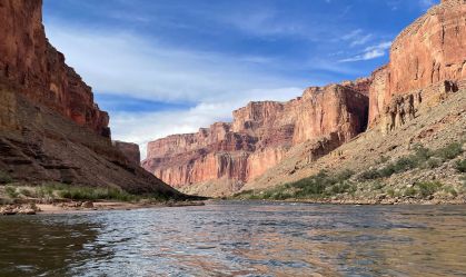 Fóssil de peixe-pênis com dentes peludos é encontrado no Grand Canyon; veja