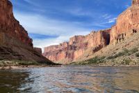 Fóssil de peixe-pênis com dentes peludos é encontrado no Grand Canyon; veja
