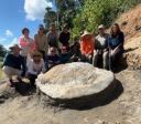 Fóssil raro de tartaruga-gigante do Mioceno é encontrado no Acre