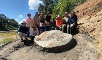 Fóssil raro de tartaruga-gigante do Mioceno é encontrado no Acre