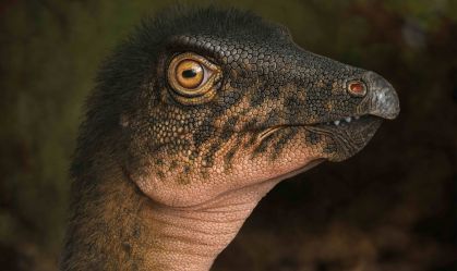Fóssil de dinossauro é encontrado embaixo de estacionamento nos EUA