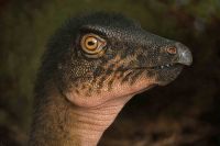 Fóssil de dinossauro é encontrado embaixo de estacionamento nos EUA
