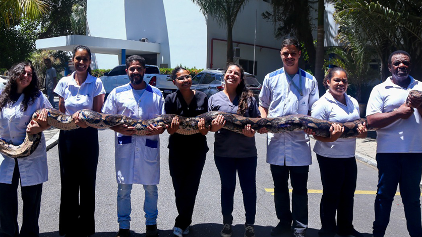Serpente Maya é símbolo da educação ambiental no Instituto Vital Brazil