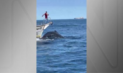 Barco atinge baleia em Arraial do Cabo, no Rio