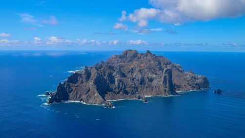 Ilha de Trindade, no Espírito Santo registrou, entre 1994 e 2024, aumento de 1.468,62% na área florestal