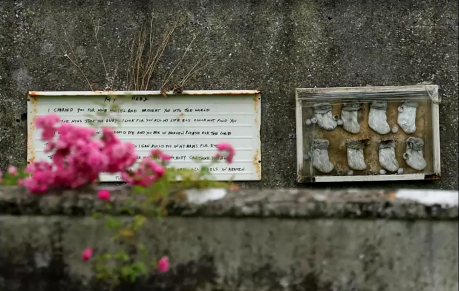 Irlanda iniciará escavação de vala comum em lar para mães e bebês administrado pela Igreja