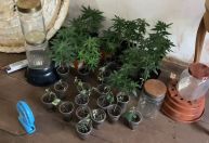 Polícia prende oito pessoas por tráfico de drogas sintéticas na Bahia