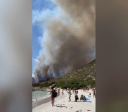 Vídeo: Banhistas fogem de incêndio florestal em praia na Itália