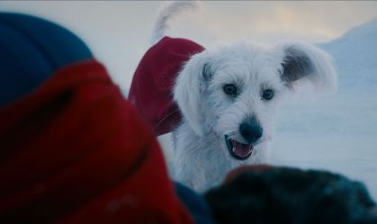 "Superman": conheça a história do cachorro que inspirou a criação de Krypto