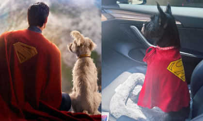 Atriz de "Superman" adota filhote em evento de pré-estreia: "Nossa Krypto"