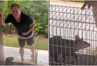 Leonardo tenta "vender" gambá na web e diverte fãs: "Pinscher puro"